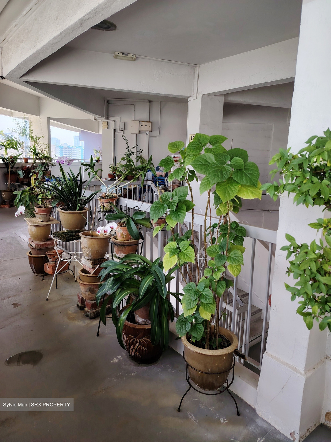 Blk 14 Saint George's Road (Kallang/Whampoa), HDB 3 Rooms #548571131